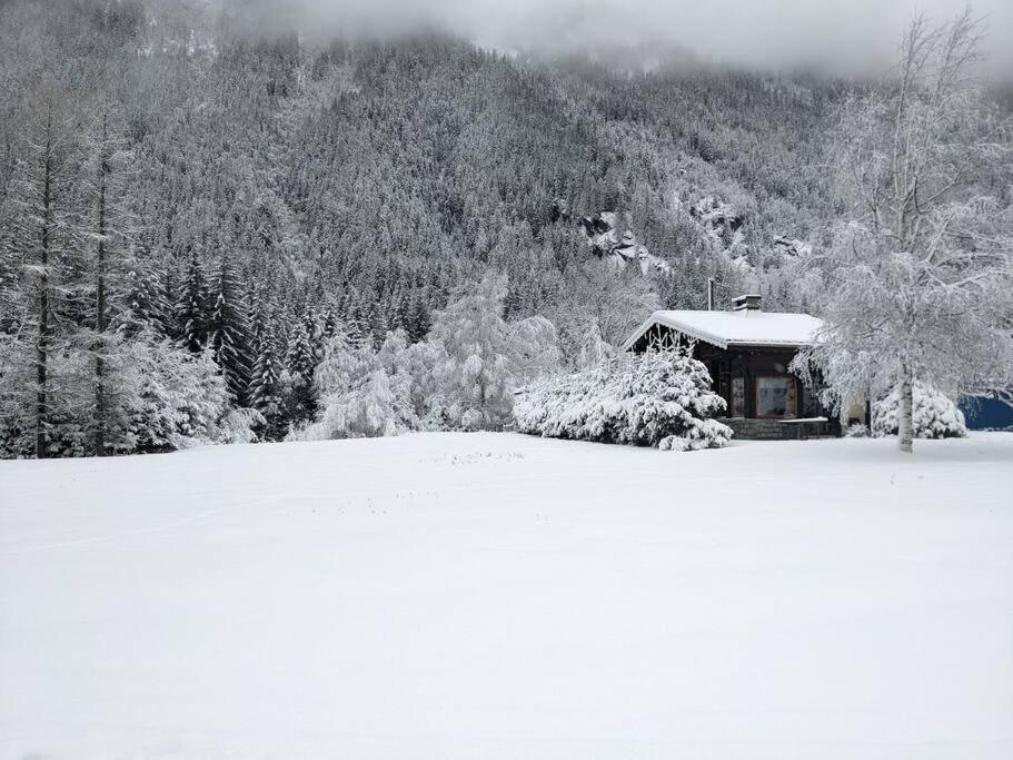 Chalet L'Ilet Ensoleille /Sunny Island Chalet Chamonix Extérieur photo