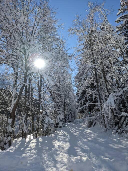 Chalet L'Ilet Ensoleille /Sunny Island Chalet Chamonix Extérieur photo