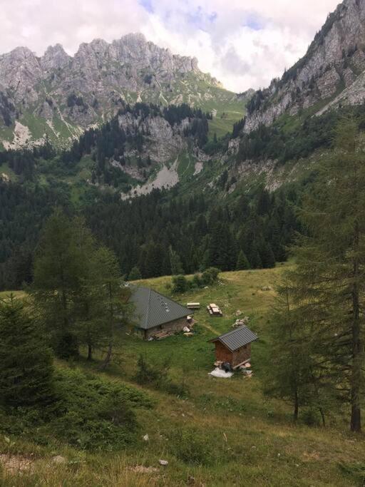 Chalet L'Ilet Ensoleille /Sunny Island Chalet Chamonix Extérieur photo