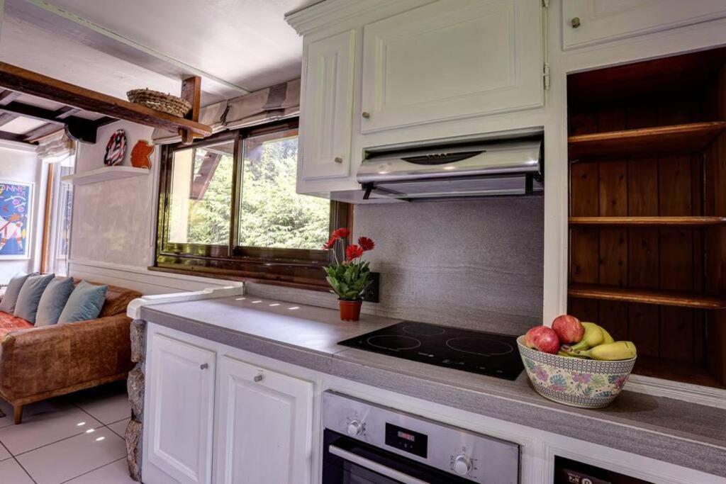 Chalet L'Ilet Ensoleille /Sunny Island Chalet Chamonix Extérieur photo